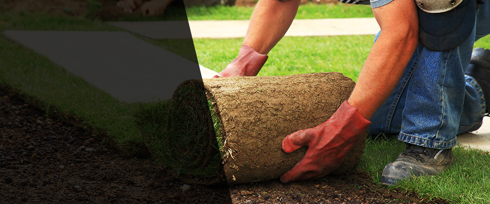 Birch Run Landscapers